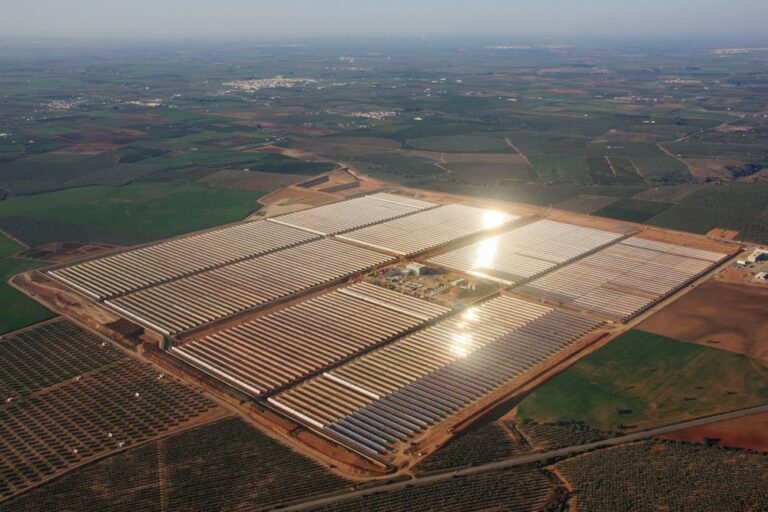 Director de Proyecto Planta Termosolar