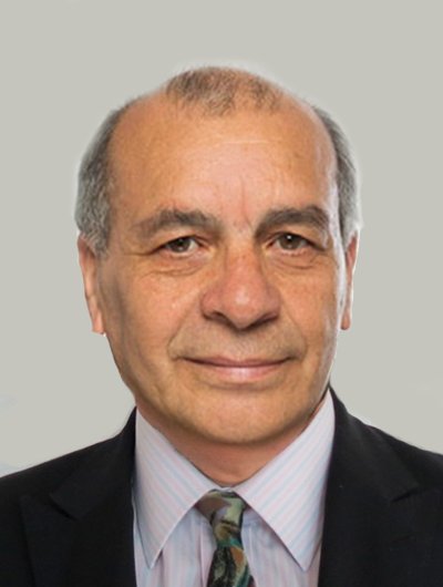 Profesor Waldo Bustamante.